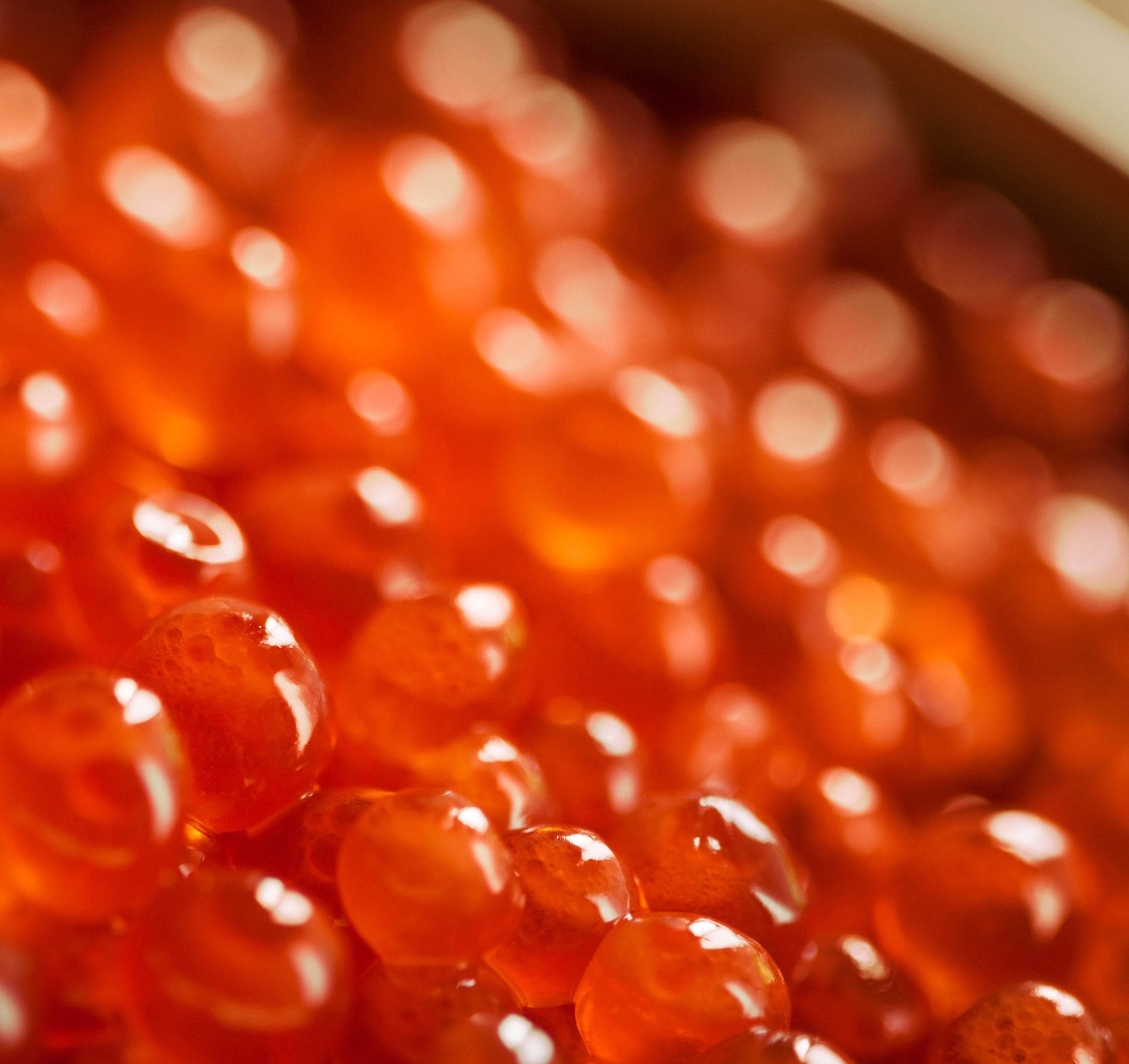 The Power of Salmon DNA Cotrini